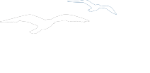 Bestattungshaus Dohnke